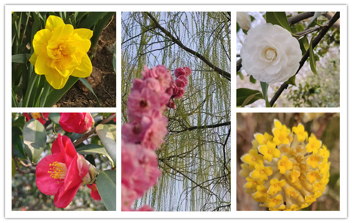 0043e6215f8c6dd2dba000bd38ed029 0043e6215f8c6dd2dba000bd38ed029