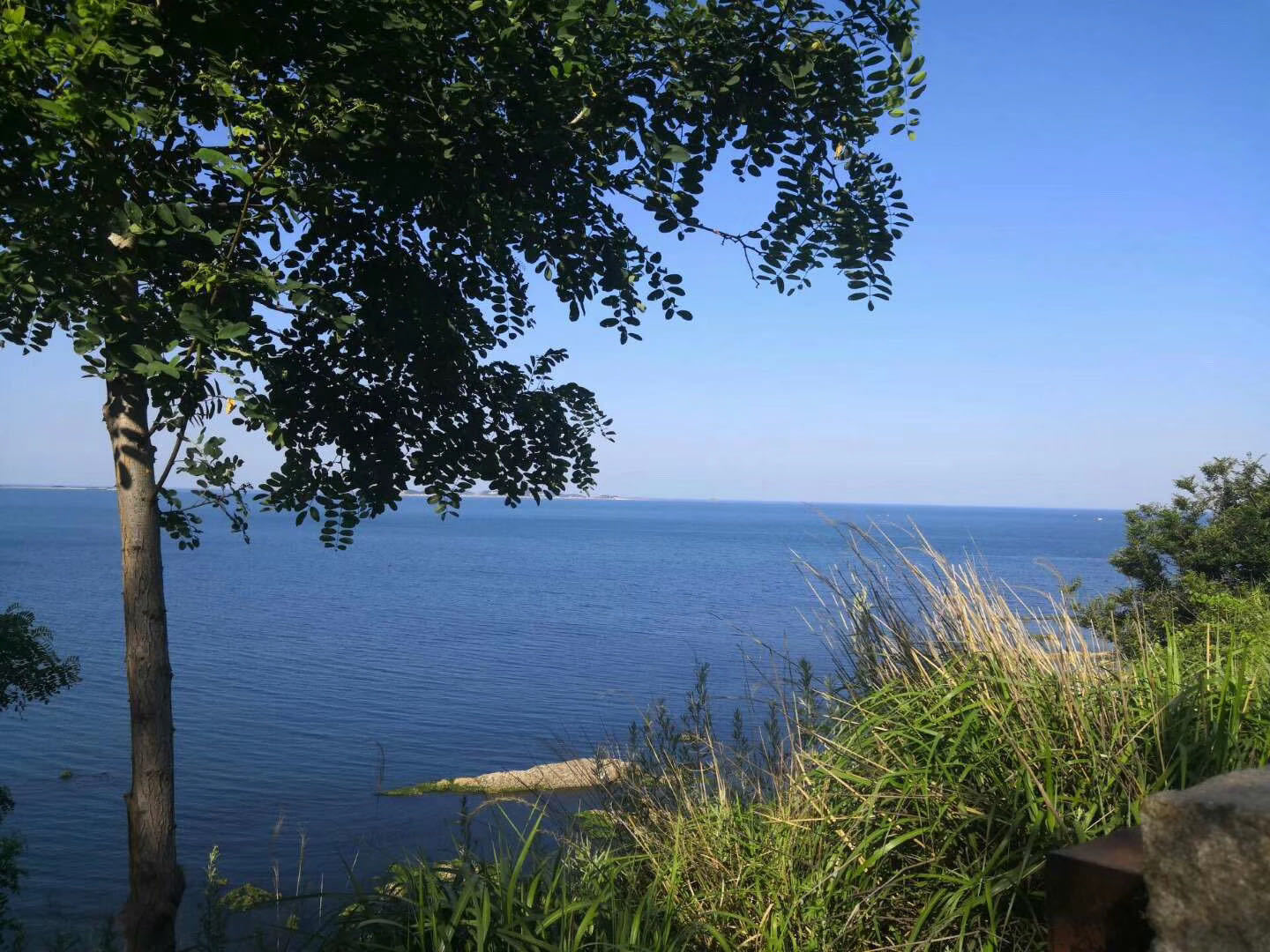 人生之路-不畏艱難，勇往直前