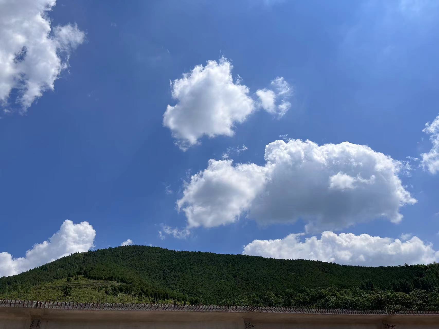 九月，你好！