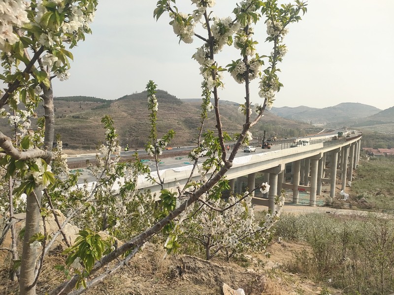 春之希望：臨臨項目建設圖片展