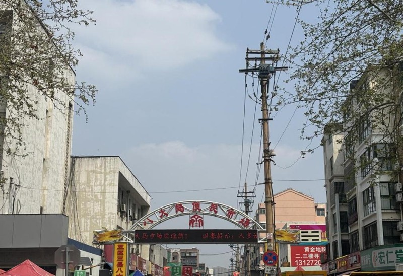 春天，一起去探尋淄博的魅力