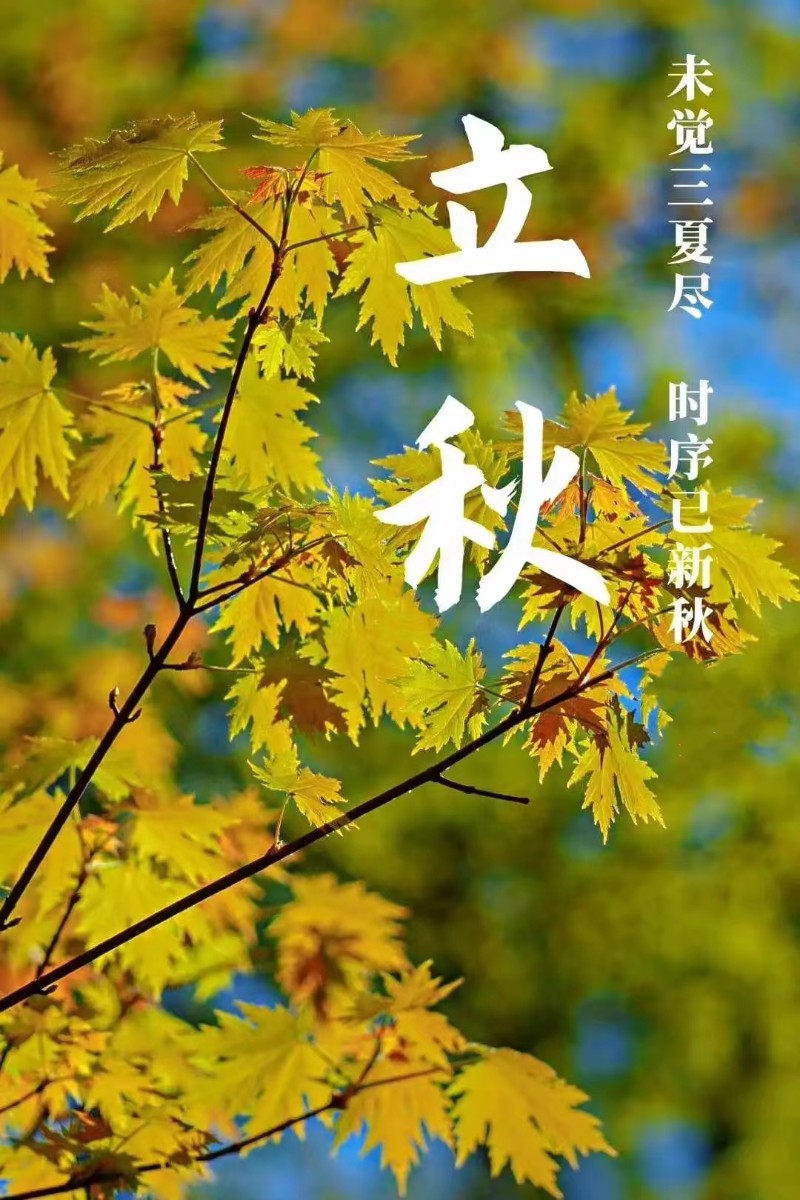 立秋風(fēng)起，心自清涼