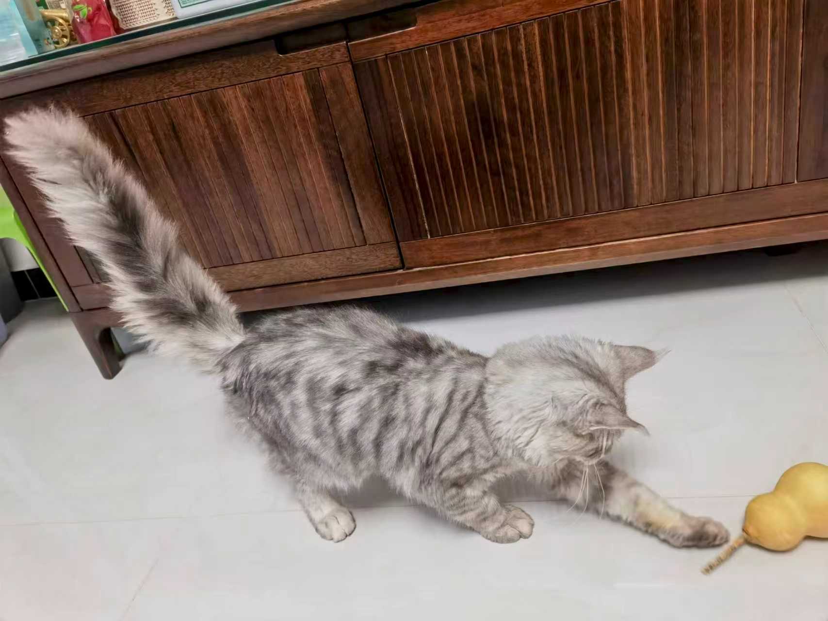 微信圖片_20251208084730_166_173