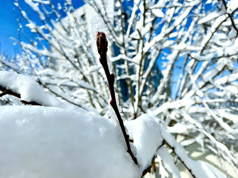 微信圖片_20251225094753_244_173_副本