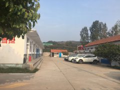 養(yǎng)護分公司博沂路水果之鄉(xiāng)沂源