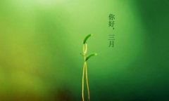 你好，三月！