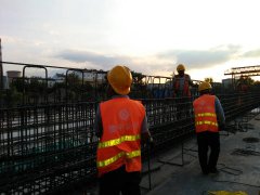 遷徙的候鳥，領略不一樣的風景