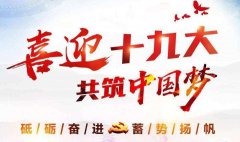 十九大你點贊了嗎？