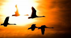 12月，你好！11月，再見！