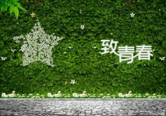 做好青春事，無悔公路情