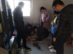 為則通達(dá)，學(xué)無(wú)止境