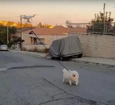 知恥而后勇，知弱而圖強