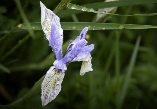 勸君惜取少年時——珍惜當下不負韶華