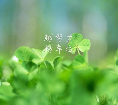 東風(fēng)已至 未來(lái)可期