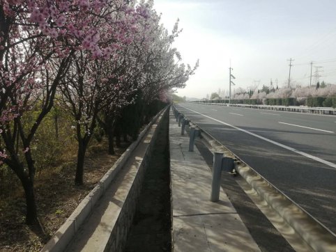 及時當(dāng)勉勵，歲月不待人