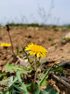 滿懷希望，走向未來