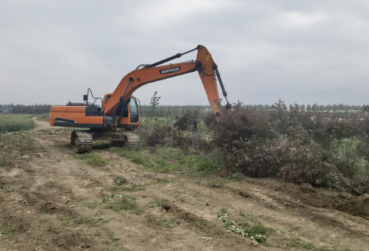 郯城縣李莊中環(huán)路項(xiàng)目施工進(jìn)展